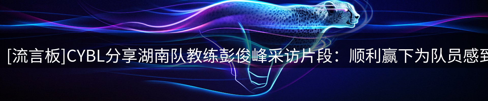 内页banner